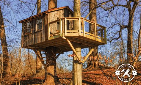 reclaimed wooden tree house